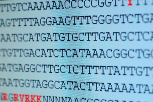 Genetic code being shown on computer screen