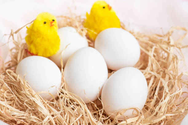 istock White eggs and toy chickens in hay nest. 1174475228