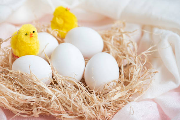istock White eggs and toy chickens in hay nest. 1174475246