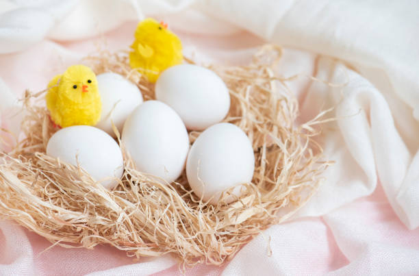 istock White eggs and toy chickens in hay nest. 1174475328