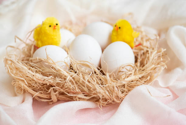 istock White eggs and toy chickens in hay nest. 1174475431