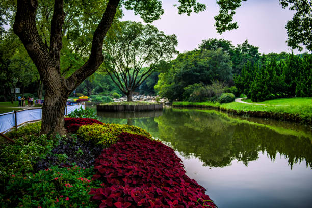 Beautiful colors during the twilight at the Mei Garden in Wuxi City, Jiangsu Province, Eastern China.