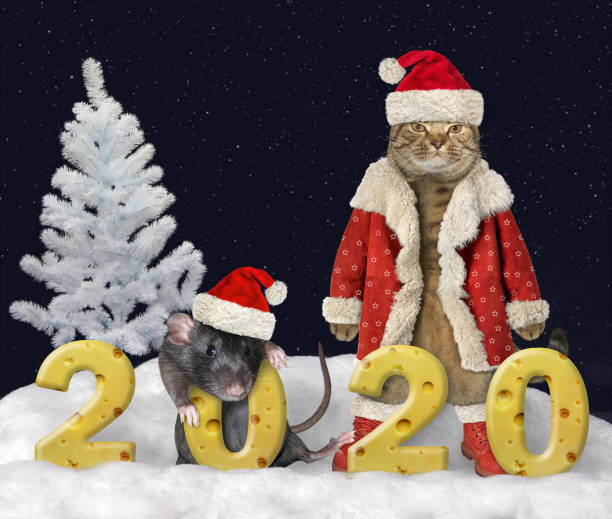 istock Cat with rat near 2020 of cheese 1174476456
