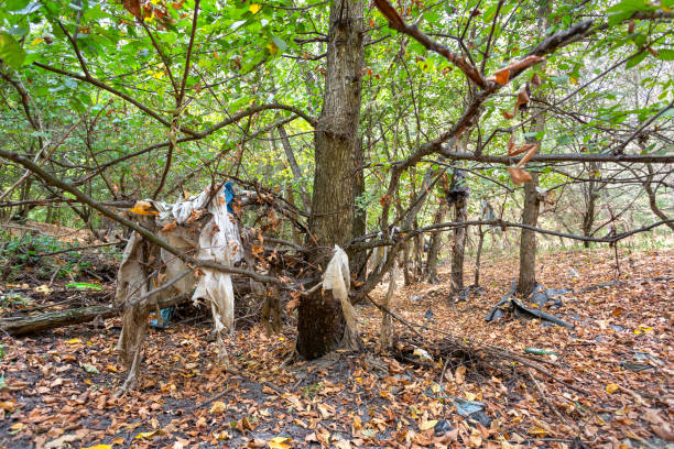 istock Plastic bags inside a beautiful forest. Environmental pollution. 1174479726