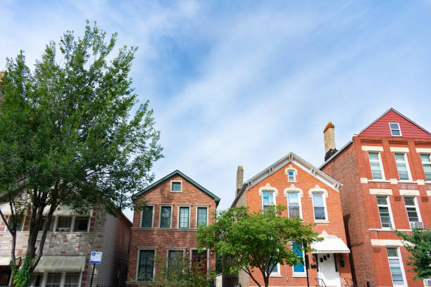 istock Row of Old Homes in Pilsen Chicago 1174480940