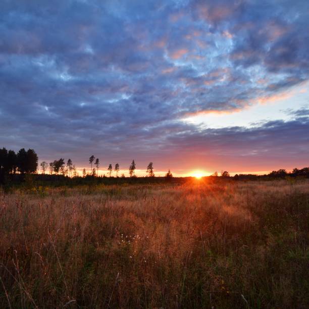 istock Sunset in rural area 1174482683