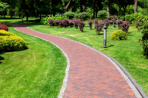istock Footpath alley with a winding with a drainage system and ground lantern, a path leading into a park with trees along a lawn with a green lawn and bushes on a sunny day, nobody. 1174487075
