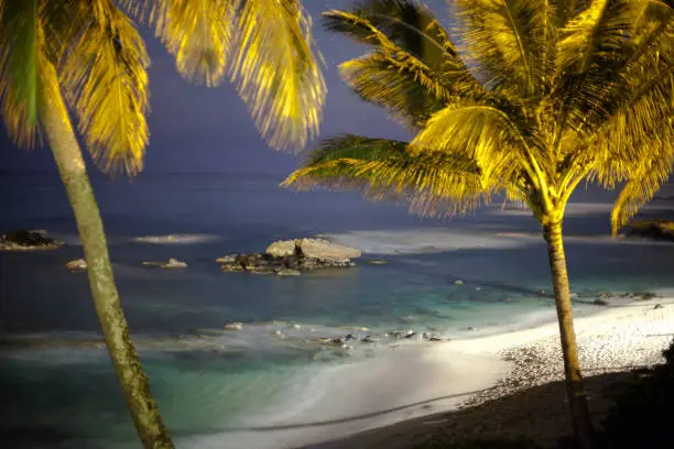 a long exposure shot of Alligator rock that includes palm trees and the sand. looking down towards the beach
