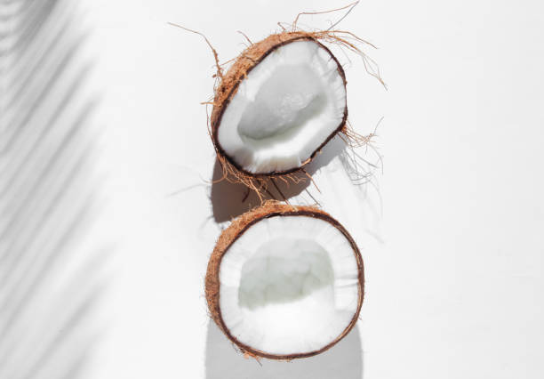 istock Minimalistic tropical still life. Halves coconut with shadows from palm leaves on white background. Creative fashion concept. Top view. 1174492204