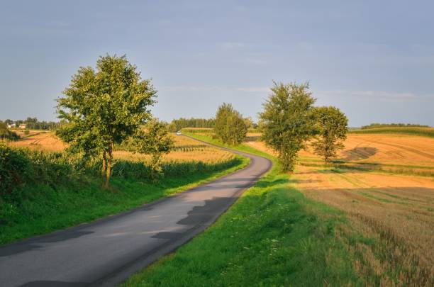 istock Beautiful summer afternoon landscape. 1174492886