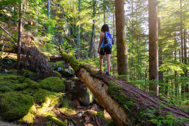 istock Girl Hiking in a Wild Forest 1174494558