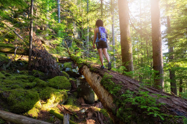 istock Girl Hiking in a Wild Forest 1174494564