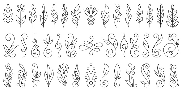 Floral Branch thin line set. Flourish ornament simple outline signs collection. Swirl vintage calligraphy wedding design element, linear style. Black contour Isolated on white flat vector Illustration