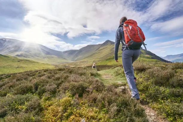 Photo of A hiker walking up a mountain ridge, The Edge, towards Ullock Pike, Carl Side and Skiddaw in the English Lake District UK.