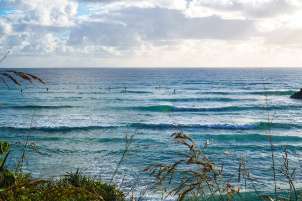 istock Surfers catching waves in the Pacific ocean 1174500776