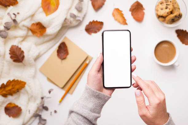 istock Cellphone with blank screen in woman hands 1174502388