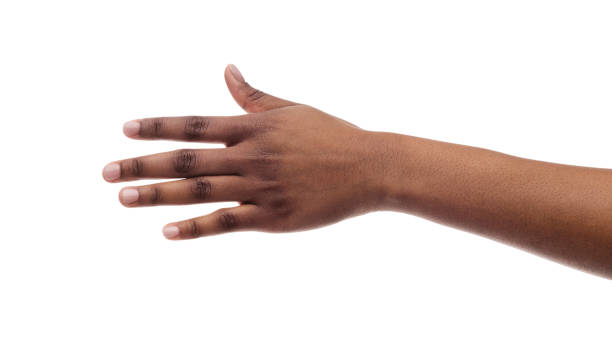Closeup Of Black Female Hand Isolated On White Background Closeup Of Black Female Hand Isolated On White Background. Panorama, Copy Space reaching stock pictures, royalty-free photos & images