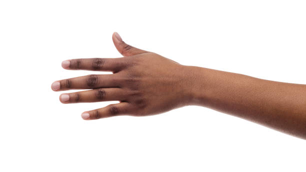 closeup of black female hand isolated on white background - isolated hand imagens e fotografias de stock