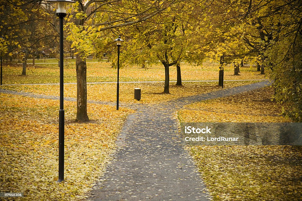 Herbst-park - Lizenzfrei Weggabelung Stock-Foto