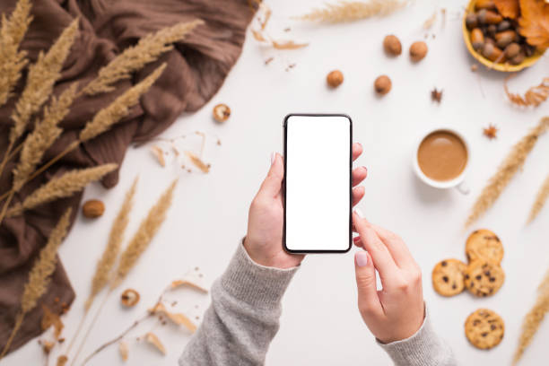istock New cellphone with blank space in woman hands, top view 1174503168
