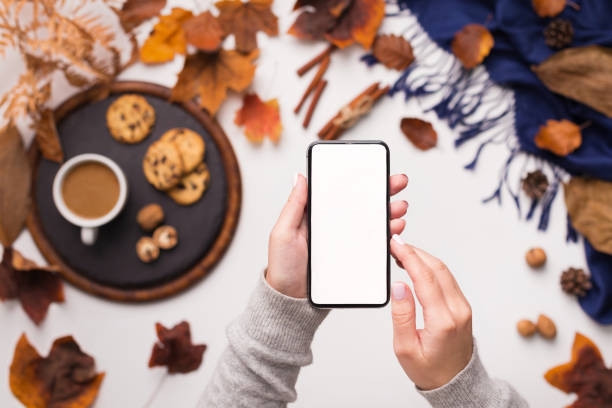 istock Modern cellphone with white blank space in woman hands 1174503218