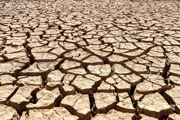 istock Cracks of the dried soil background 1174503597