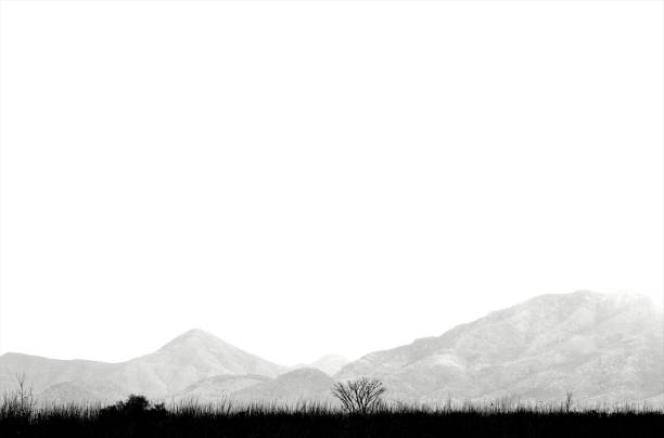 a row of Silhouetted bushes and trees against mountains in the distance