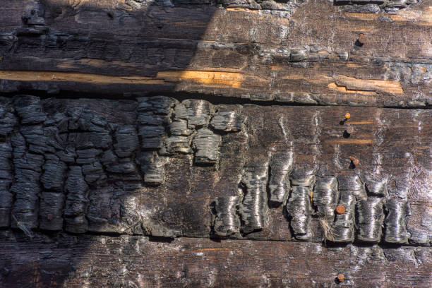 istock The texture of burnt wood. 1174505035