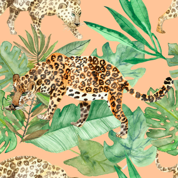 水彩手繪野生動物野生動物園無縫圖案與兩只豹動物走在綠色的熱帶葉子和叢林樹枝在米色背景時尚紡織品。 - leopard 2 幅插畫檔、美工圖案、卡通及圖標