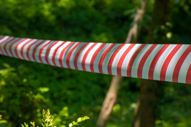 istock Safety strip hanging between two trees in forest. Close-up. 1174510392