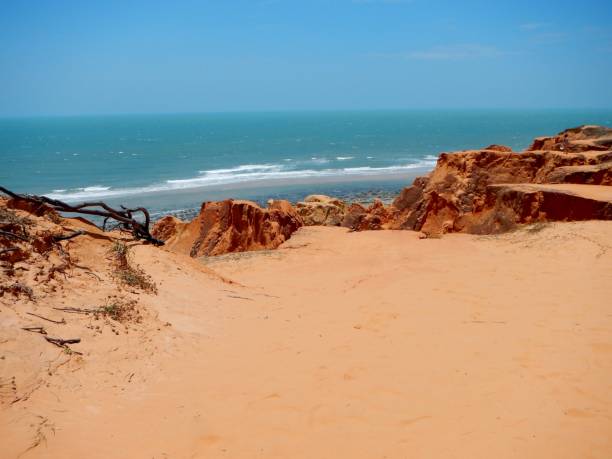istock Cliffs in Beberibe, Ceara, Brazil, close to Morro Branco beach. 1174513049