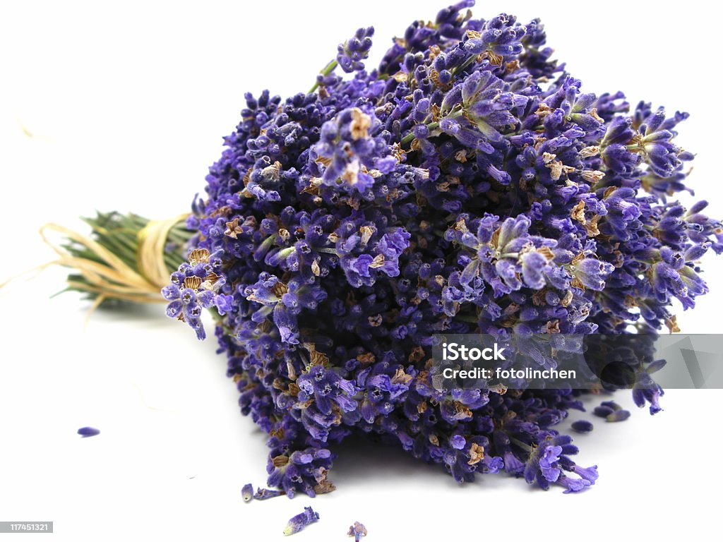 - Lavendel - Lizenzfrei Lavendel Stock-Foto