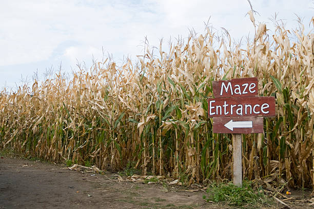 Corn Maze entrance sign stock photo