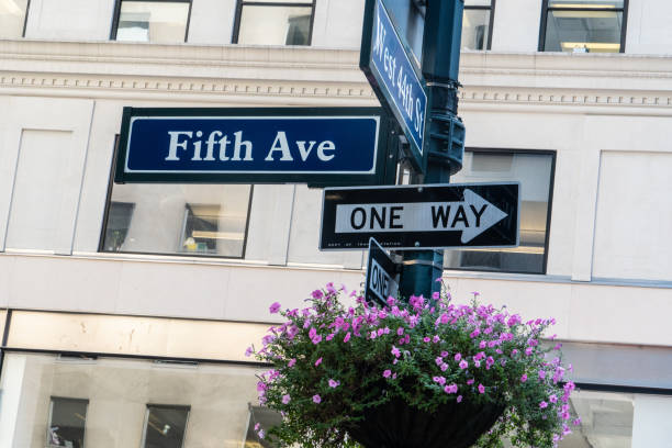 istock Fifth Avenue Street Sign 1174517332