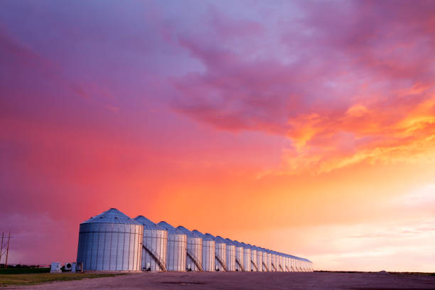 Grain Storage Silos Canadian Prairie Saskatchewan Image of a few Canadian grain silos, Saskatchewan, Canada. Late evening,  Image taken from a tripod. canadian culture photos stock pictures, royalty-free photos & images