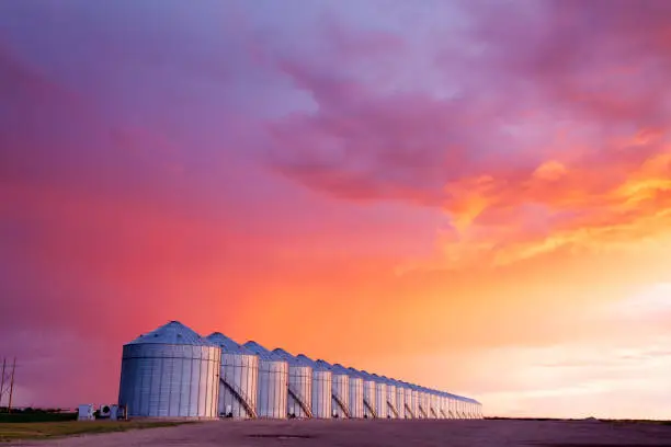 Photo of Grain Storage Silos Canadian Prairie Saskatchewan