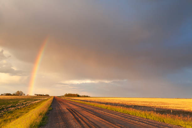 サスカチュワン州カナダストームチェイス - stormy sunrise ストックフォトと画像