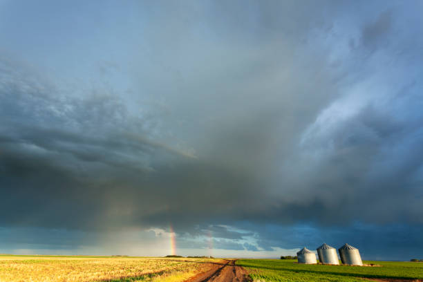 istock Country Road Saskatchewan Canada 1174523412