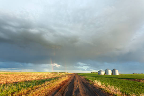 カントリーロードサスカチュワンカナダ - canada saskatchewan grain elevator prairie ストックフォトと画像