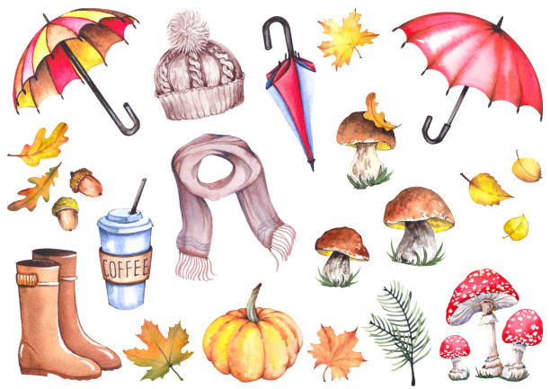Autumn set with umbrellas, knitted hat, scarf, coffee cup, rubber boots, fly agaric mushrooms, boletus mushrooms, pumpkin and leaves. Autumn set with umbrellas, knitted hat, scarf, coffee cup, rubber boots, fly agaric mushrooms, boletus mushrooms, pumpkin and leaves. Watercolor isolated on white background. knitted pumpkin stock illustrations