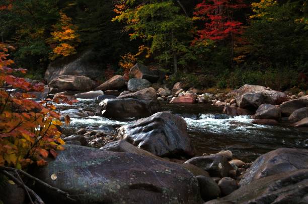 istock rocky stream surrounded by autumn trees 1174533575