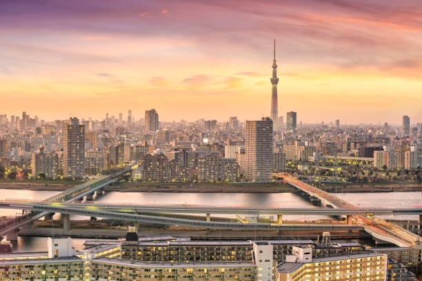 istock View of Tokyo skyline at sunset 1174534735