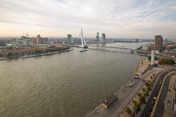 istock Skyline of Rotterdam 117453480