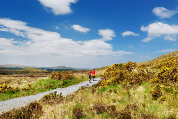 Tourists hiking in the Connemara National Park, famous for bogs and heaths, watched over by its cone-shaped mountain, Diamond Hill, Ireland Tourists hiking in the Connemara National Park, famous for bogs and heaths, watched over by its cone-shaped mountain, Diamond Hill, County Galway, Ireland connemara national park stock pictures, royalty-free photos & images