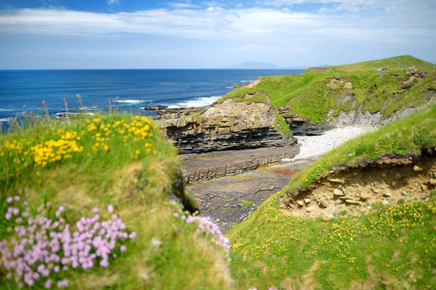 istock Spectacular view of Mullaghmore Head with huge waves rolling ashore. Wild Atlantic Way, County Sligo, Ireland 1174538503