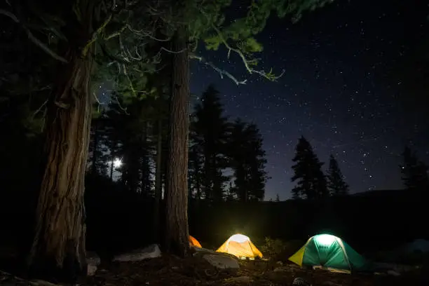 Starlit sky over the Yosemite Valley