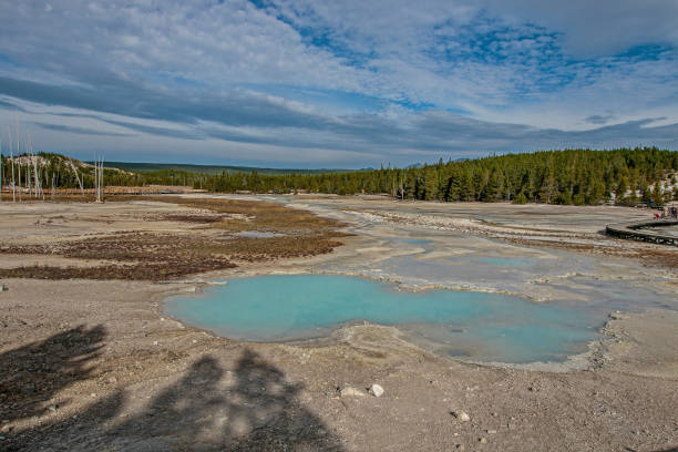 istock Porcelain Basin, Yellowstone NP 1174544554
