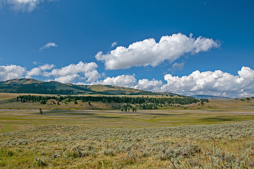View of Lamar Valley - a popular wildlife watching location in Yellowstone National Park.