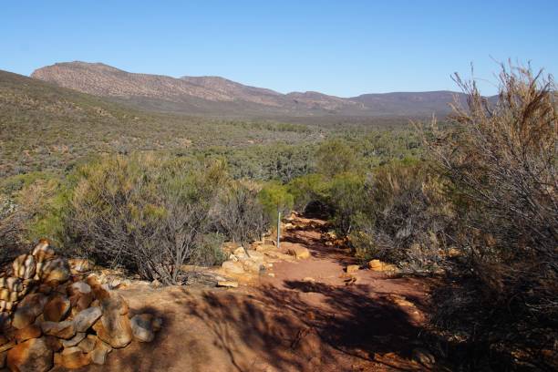 istock View inside Wilpena Pound from the Path climbing up to the Wangarra Hill Lookout 1174544591