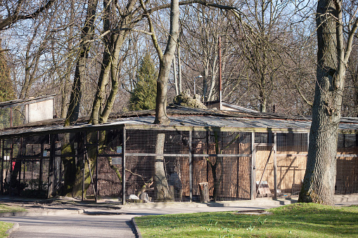 KALININGRAD, RUSSIA - MARCH 29, 2014: Cages for birds in the Kaliningrad Zoo at springtime.